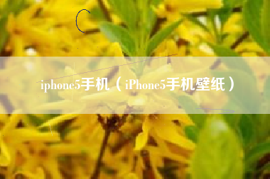 iphone5手机（iPhone5手机壁纸）