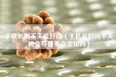 手机长期不关机好吗（手机长时间不关机会导致寿命变短吗）