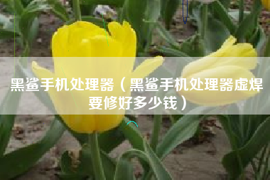 黑鲨手机处理器（黑鲨手机处理器虚焊要修好多少钱）