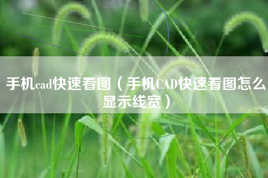 手机cad快速看图（手机CAD快速看图怎么显示线宽）