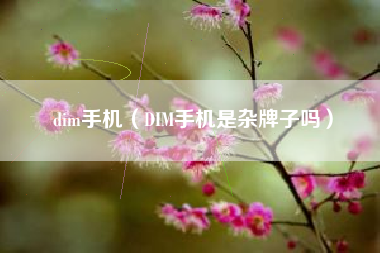 dim手机（DIM手机是杂牌子吗）
