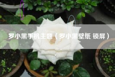 罗小黑手机主题（罗小黑壁纸 锁屏）