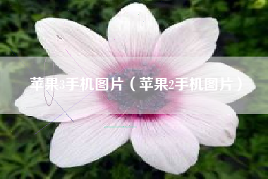 苹果3手机图片（苹果2手机图片）