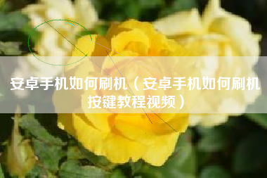 安卓手机如何刷机（安卓手机如何刷机按键教程视频）