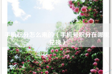 手机积分怎么来的（手机号积分在哪里兑换）