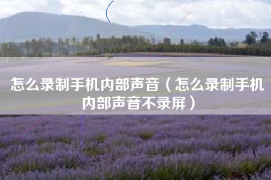 怎么录制手机内部声音（怎么录制手机内部声音不录屏）