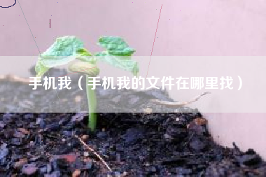 手机我（手机我的文件在哪里找）