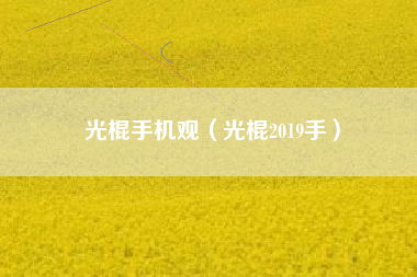 光棍手机观（光棍2019手）