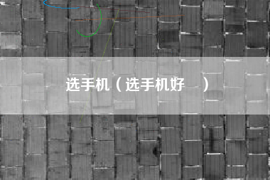 选手机（选手机好叿）