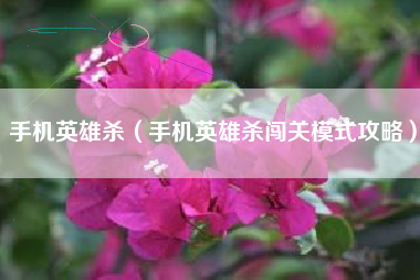 手机英雄杀（手机英雄杀闯关模式攻略）