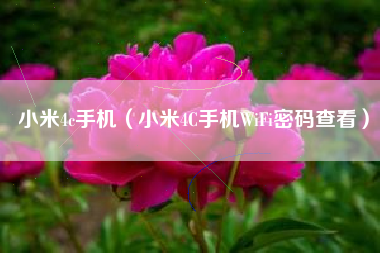 小米4c手机（小米4C手机WiFi密码查看）