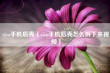 vivo手机后壳（vivo手机后壳怎么拆下来视频）