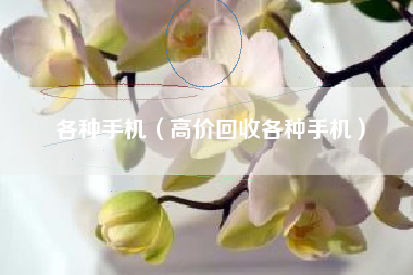 各种手机（高价回收各种手机）