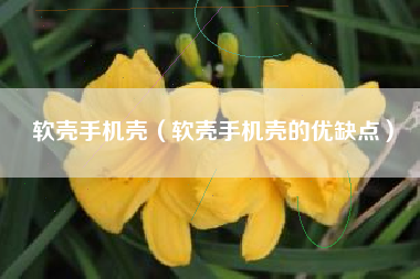 软壳手机壳（软壳手机壳的优缺点）