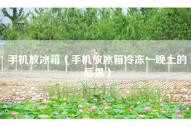 手机放冰箱（手机放冰箱冷冻一晚上的后果）