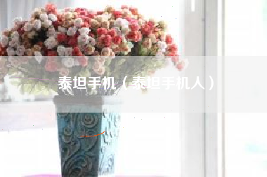 泰坦手机（泰坦手机人）