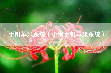 手机苹果系统（小米手机苹果系统）