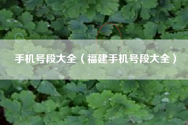 手机号段大全（福建手机号段大全）