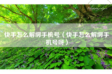 快手怎么解绑手机号（快手怎么解绑手机号呀）