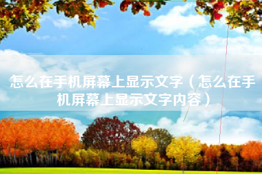 怎么在手机屏幕上显示文字（怎么在手机屏幕上显示文字内容）