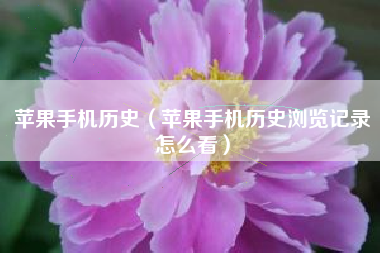 苹果手机历史（苹果手机历史浏览记录怎么看）