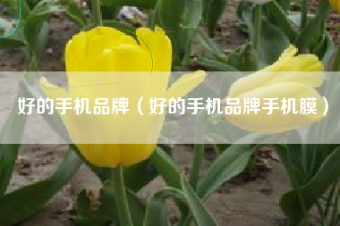 好的手机品牌（好的手机品牌手机膜）