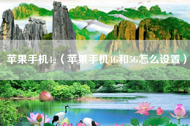 苹果手机4g（苹果手机4G和5G怎么设置）