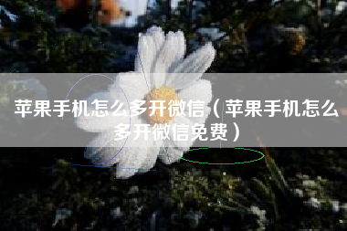 苹果手机怎么多开微信（苹果手机怎么多开微信免费）
