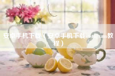 安卓手机下载（安卓手机下载instagram教程）