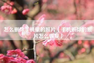 怎么删除手机里的照片（手机删除的照片怎么恢复）