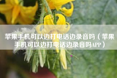 苹果手机可以边打电话边录音吗（苹果手机可以边打电话边录音吗APP）