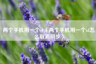 两个手机用一个id（两个手机用一个id怎么取消同步）