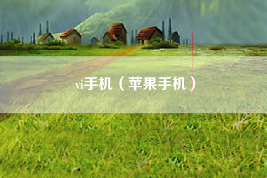 vi手机（苹果手机）