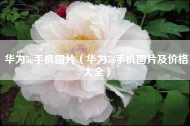 华为5g手机图片（华为5g手机图片及价格大全）