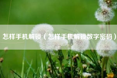 怎样手机解锁（怎样手机解锁数字密码）