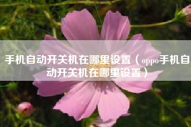 手机自动开关机在哪里设置（oppo手机自动开关机在哪里设置）