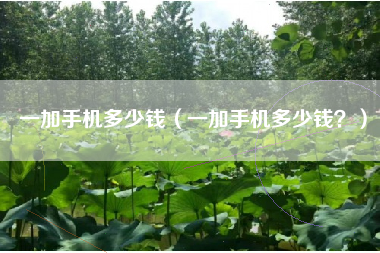 一加手机多少钱（一加手机多少钱？）