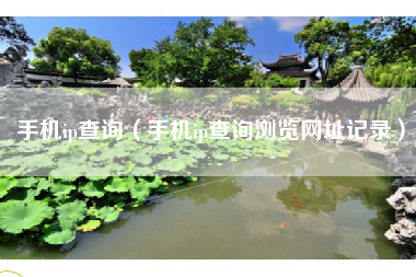 手机ip查询（手机ip查询浏览网址记录）