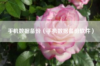 手机数据备份（手机数据备份软件）