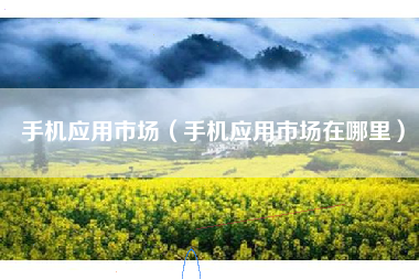手机应用市场（手机应用市场在哪里）