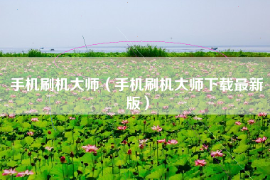 手机刷机大师（手机刷机大师下载最新版）