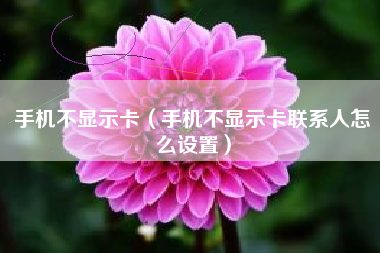 手机不显示卡（手机不显示卡联系人怎么设置）
