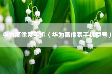 华为高像素手机（华为高像素手机型号）