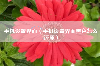 手机设置界面（手机设置界面黑色怎么还原）