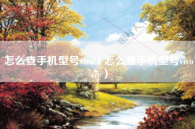 怎么查手机型号vivo（怎么查手机型号vivos7e）