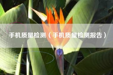 手机质量检测（手机质量检测报告）