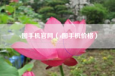 v图手机官网（v图手机价格）