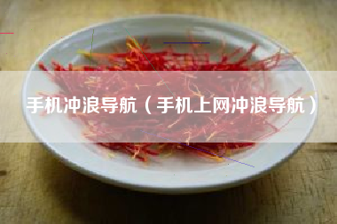 手机冲浪导航（手机上网冲浪导航）