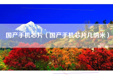 国产手机芯片（国产手机芯片几纳米）