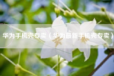 华为手机壳专卖（华为最新手机壳专卖）